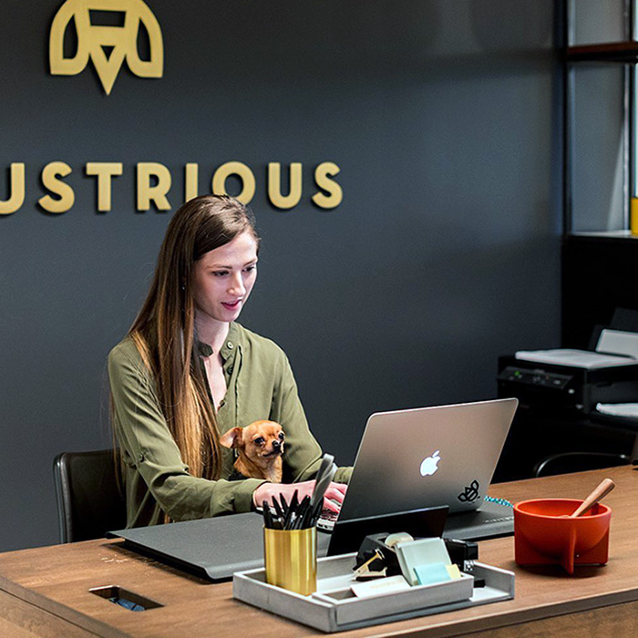 a dog with a woman at an Industrious coworking space