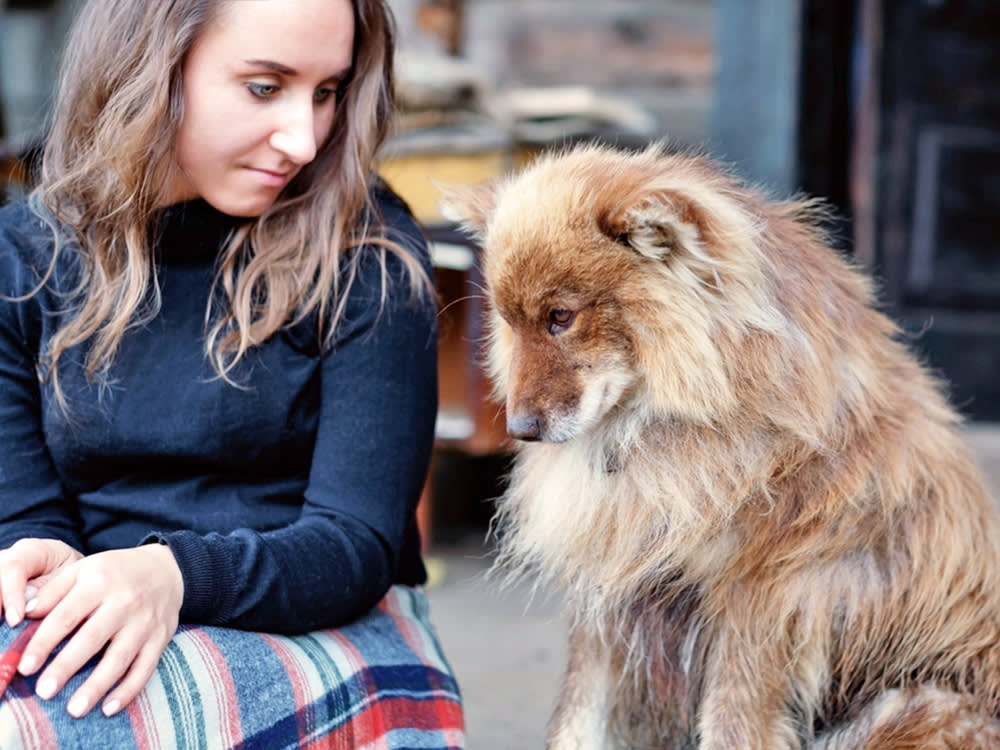 A beautiful european girl is sitting on the porch with a fluffy shepherd's dog.