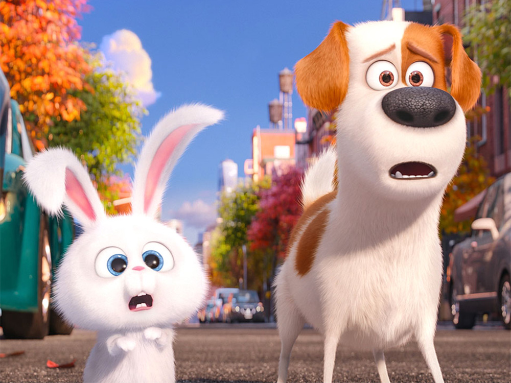 Life of Pets