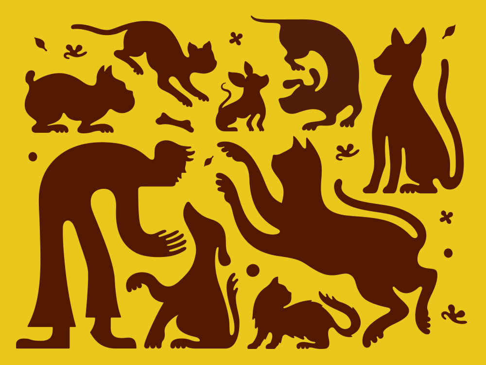 Illustration of different animals