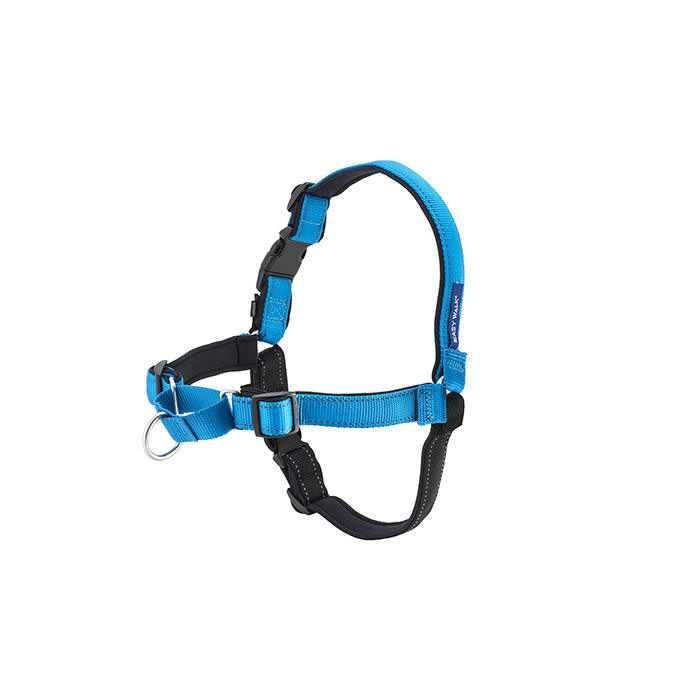 the harness in blue