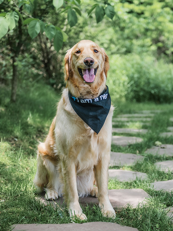 Oliver, a BluePearl blood donor, poses. 