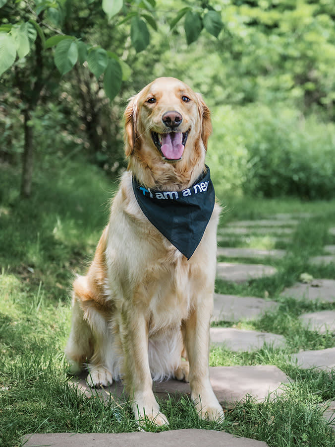 Oliver, a BluePearl blood donor, poses.