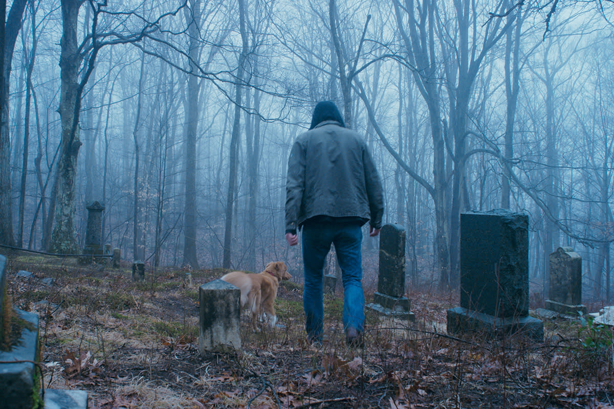 Good Boy dog in a cemetery
