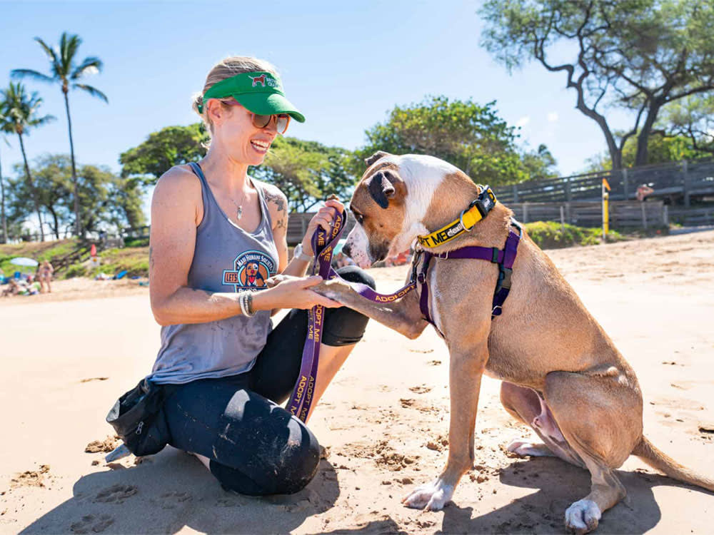 woman on Maui beach plays with adoptable dog
