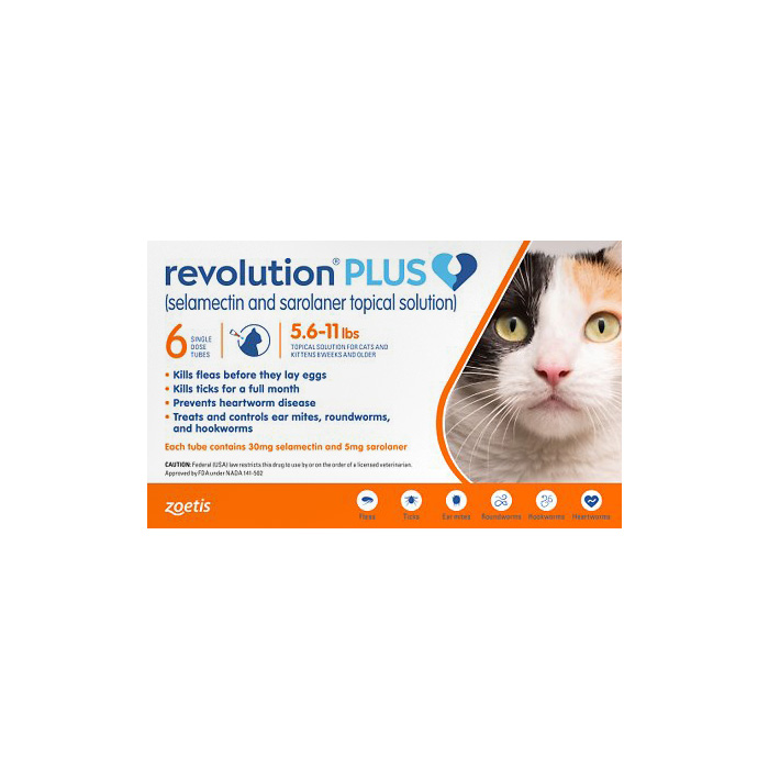 Best flea and outlet tick meds for cats