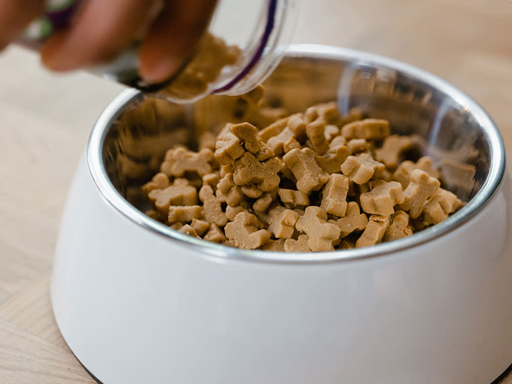 dog food poured out of a plastic container into a stainless steel bowl