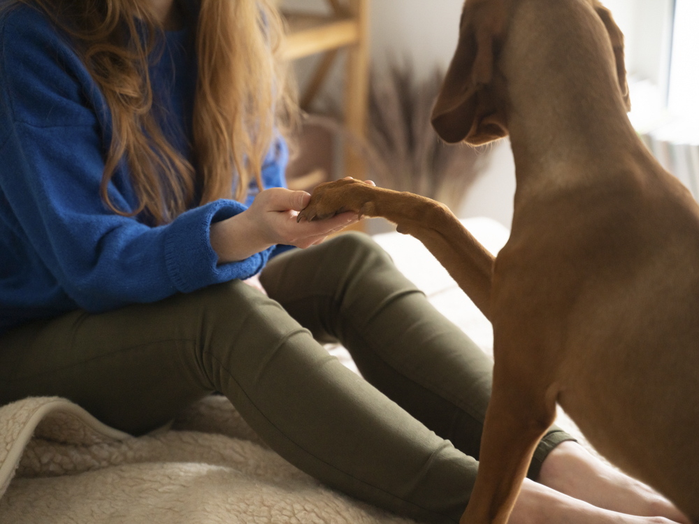 How Often Should I Trim My Dog's Nails? | PetGuide