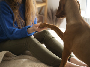 A woman trimming a dog's nails