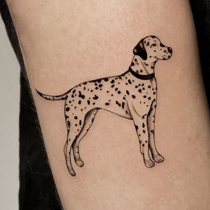 A black and white tattoo of a Dalmation
