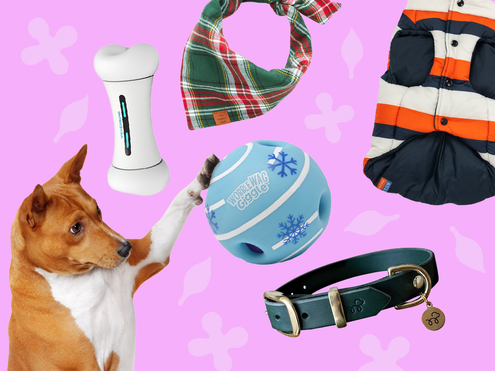 Dog reaching for products floating on a pink background