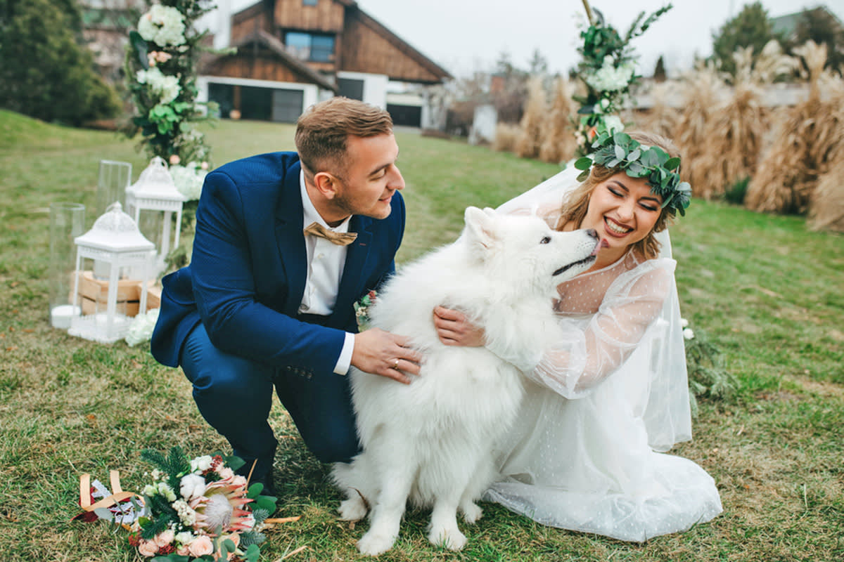 two people getting married cuddling with a white dog