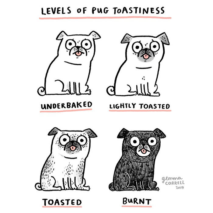 Gemma Correll illustration, levels of pug toastiness 