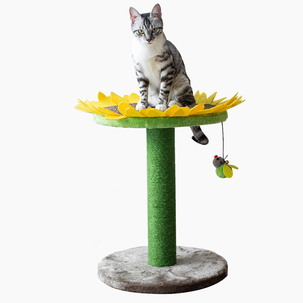 Catry Cat Tree