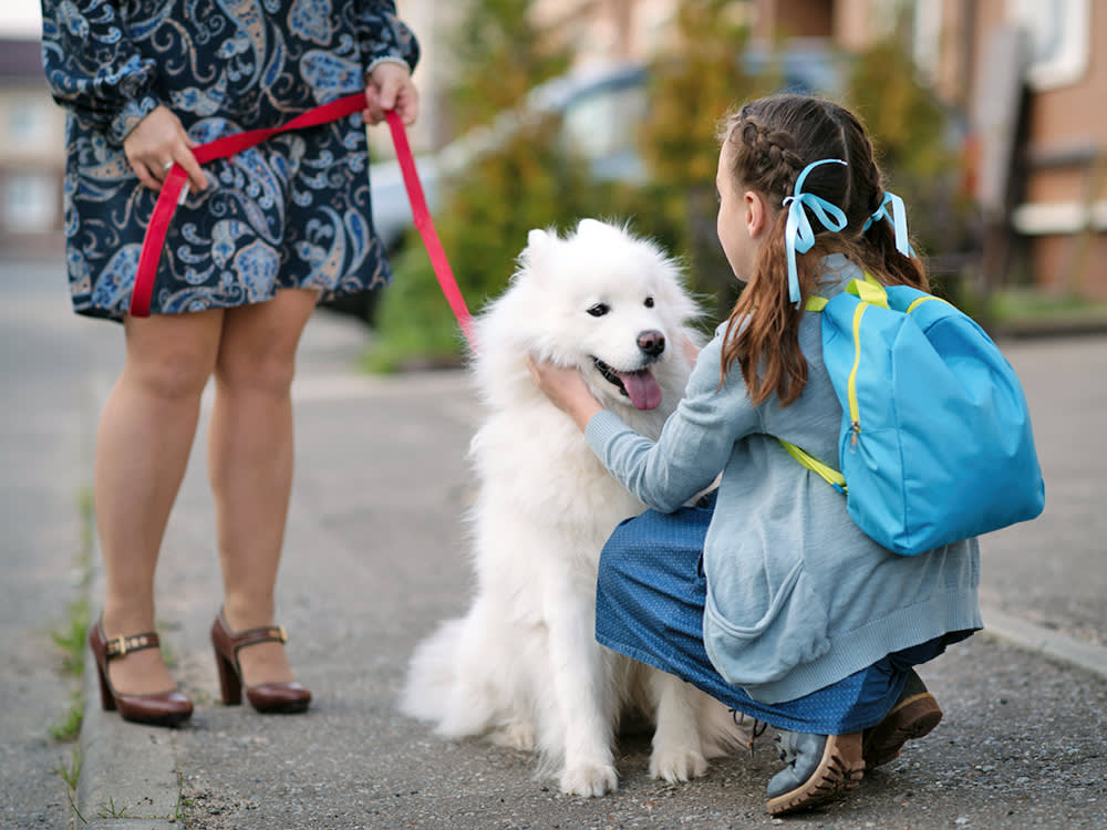 Little schoolgirl happy to see her dog before or after school.