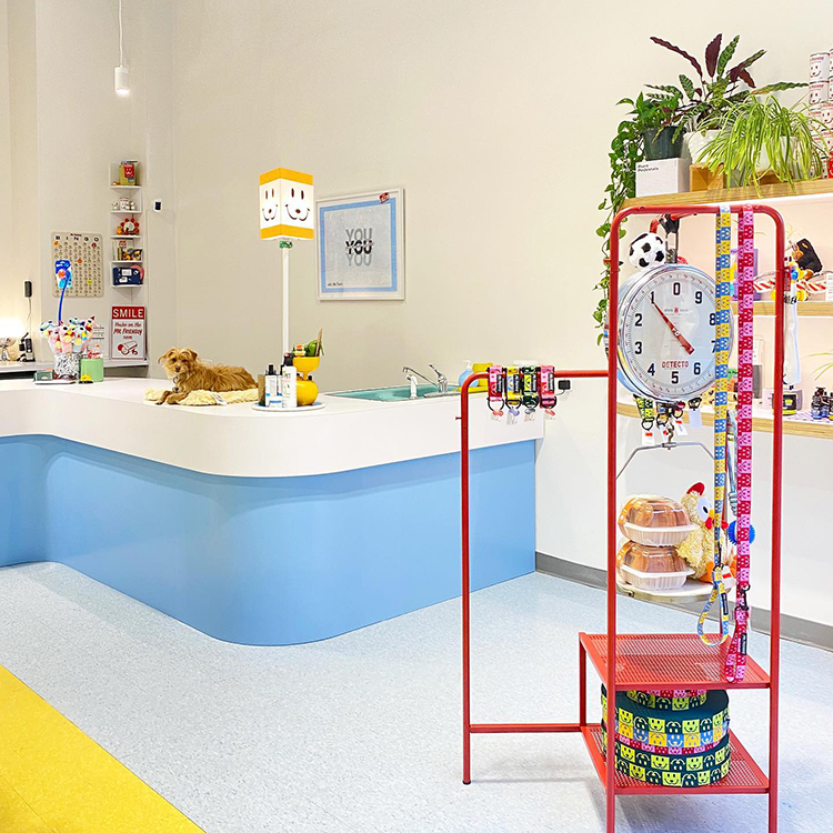 A dog laying on the counter at a very modernly decorated shop called Mr. Friendly