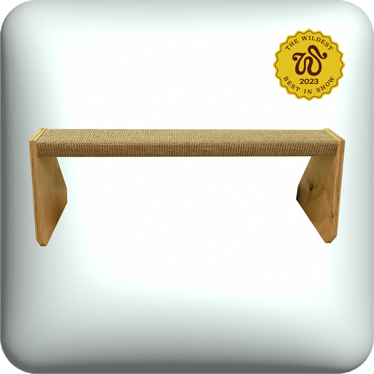 fundamentally feline balance beam