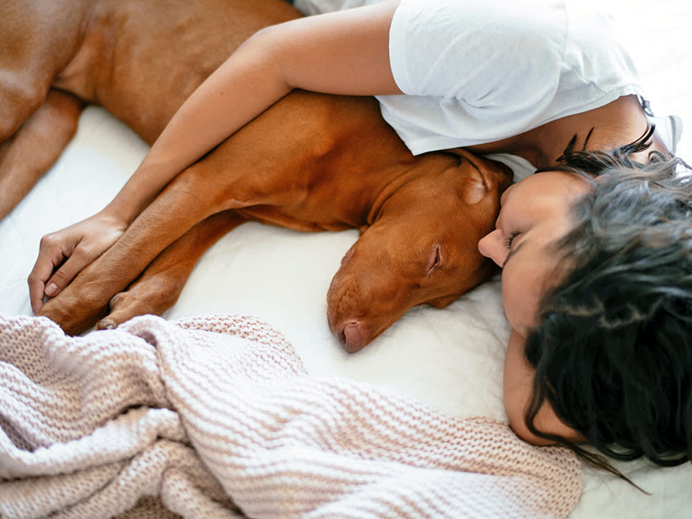 Woman sleeping with her large brown dog in bed.