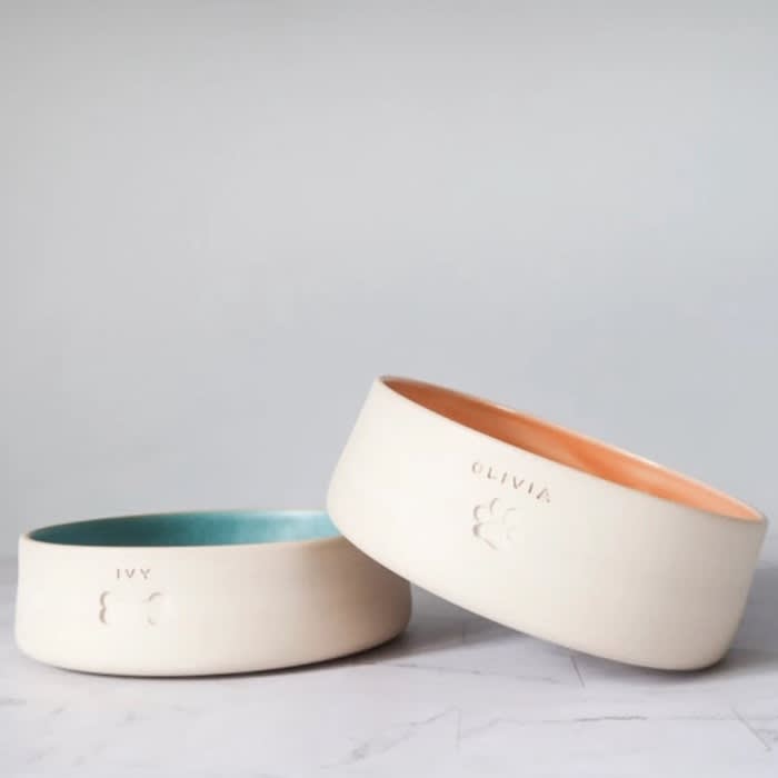cat and dog bowls with orange and blue insides