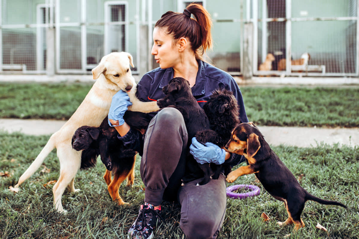 a shelter worker spends time with dogs outside