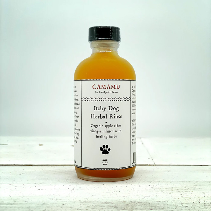 the dog rinse in orange