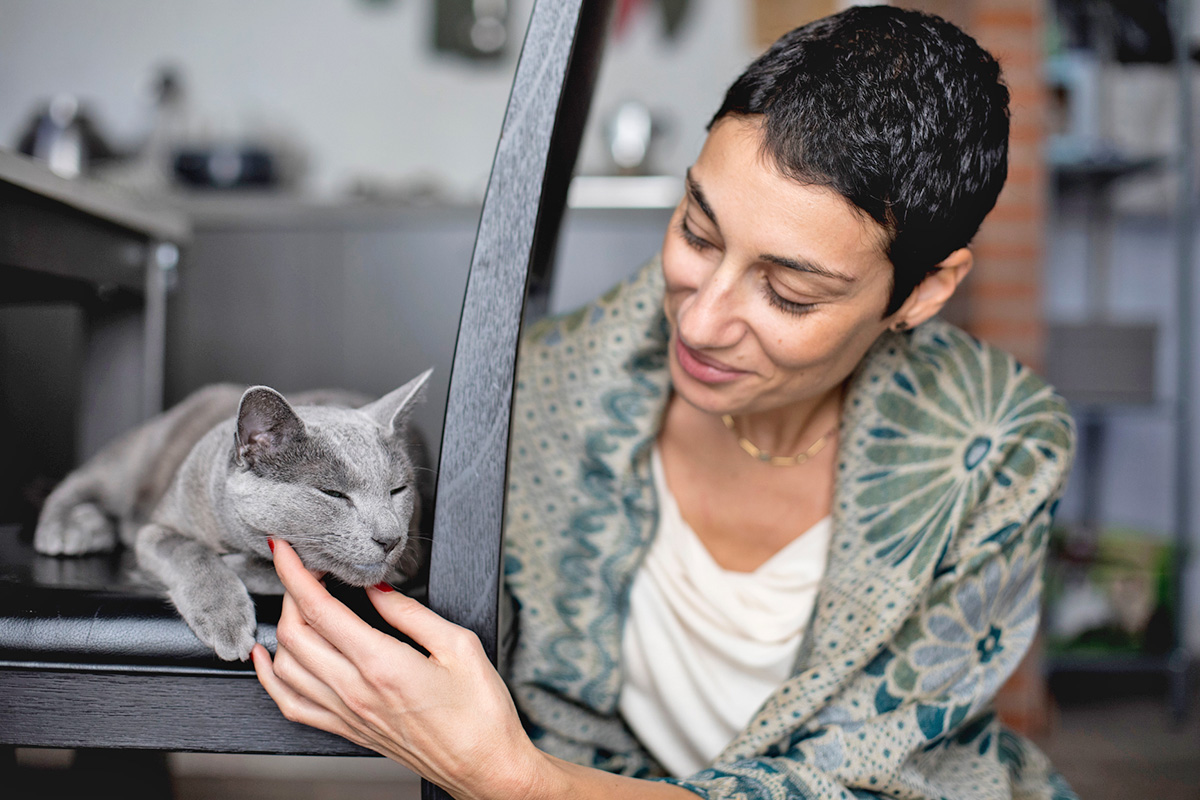 Person petting a cat