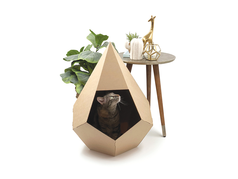 cat in unique cat house