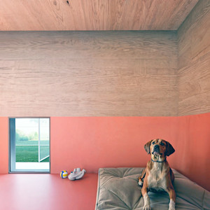 A dog on a bed at Dog Relais