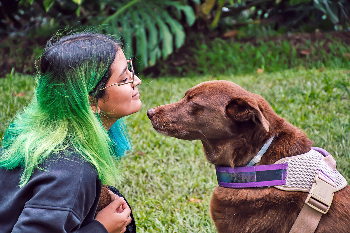 person looking gently at dog