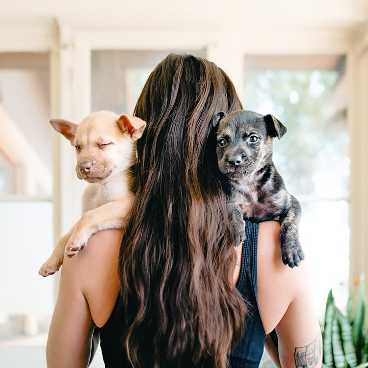 A photo of the back of a woman with long brown hair who is holding two puppies over her shoulder