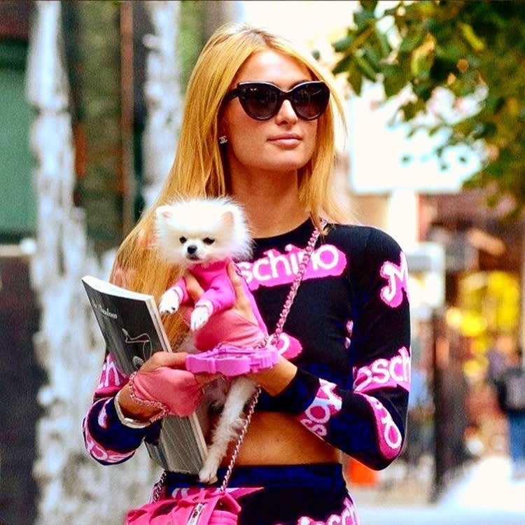 Paris Hilton holding her small dog.
