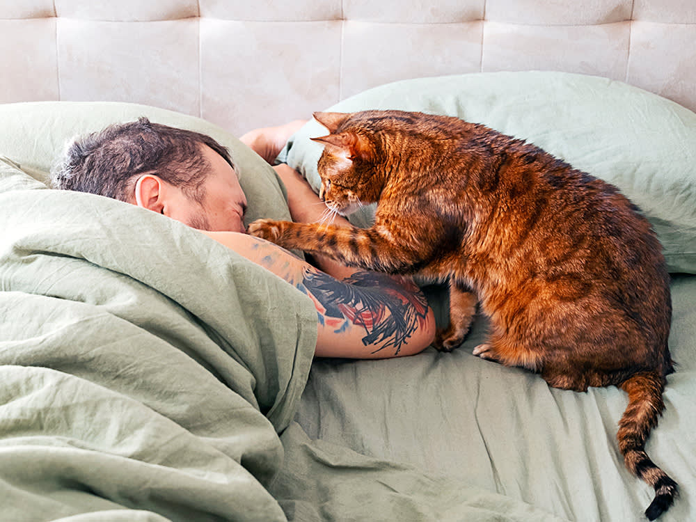 Cat pawing man's face to wake him up.
