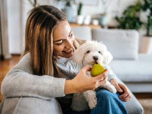 Woman feeding her small white dog a pear.