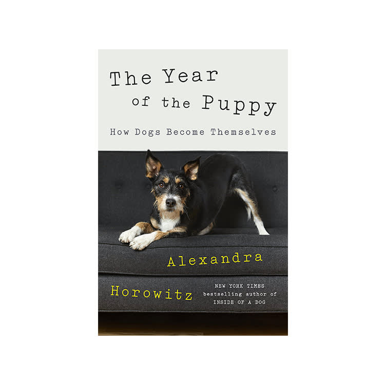 The Year of the Puppy by Alexandra Horowitz