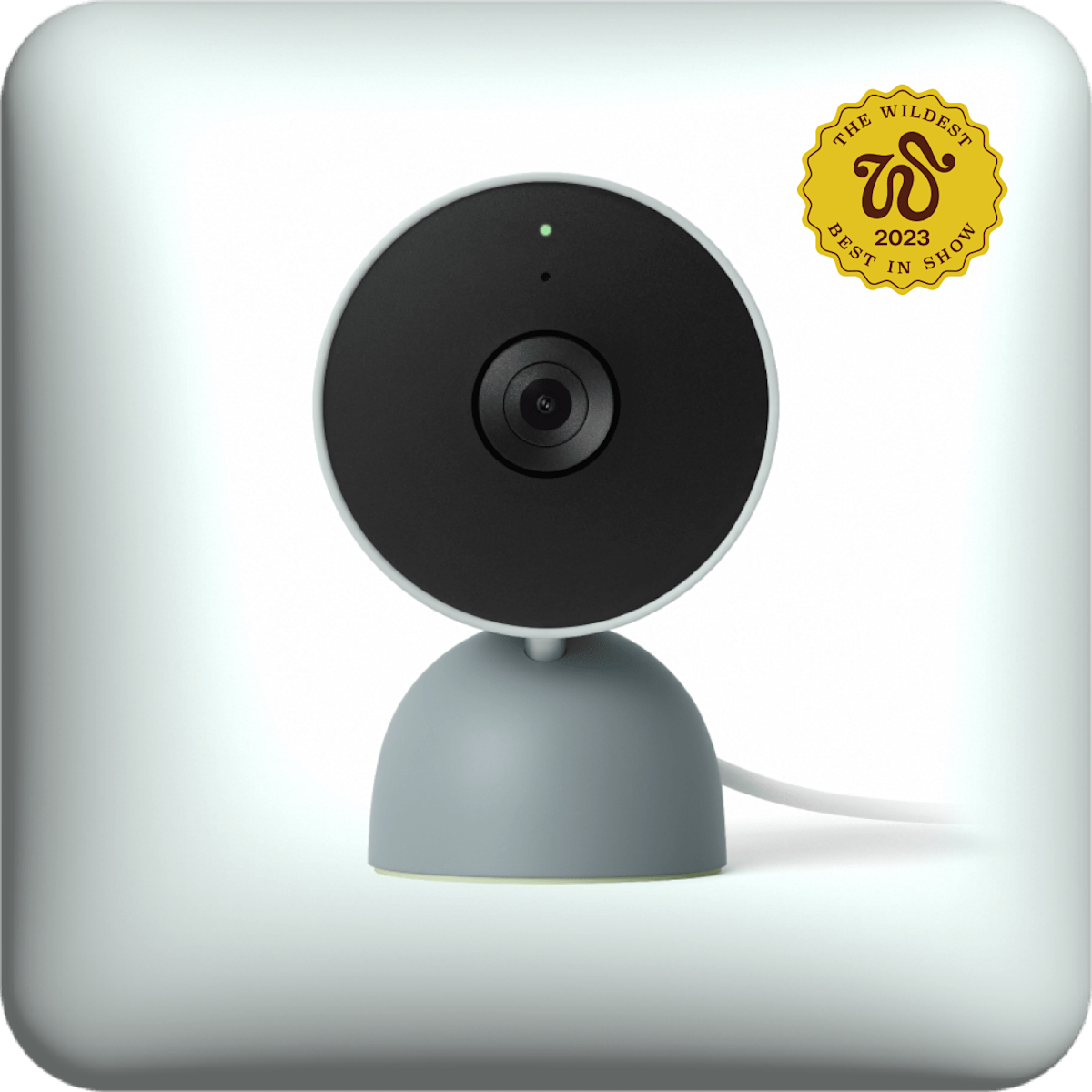 white Google Nest Cam