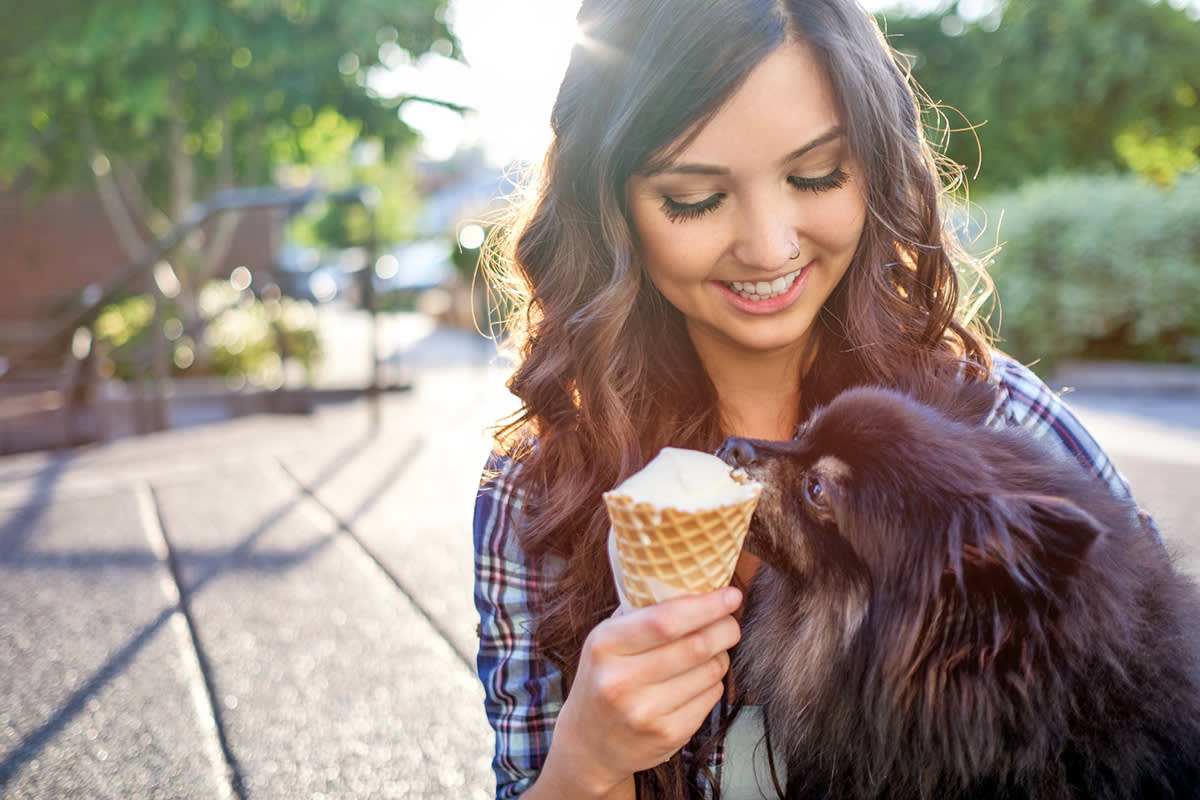 person giving dog icecream