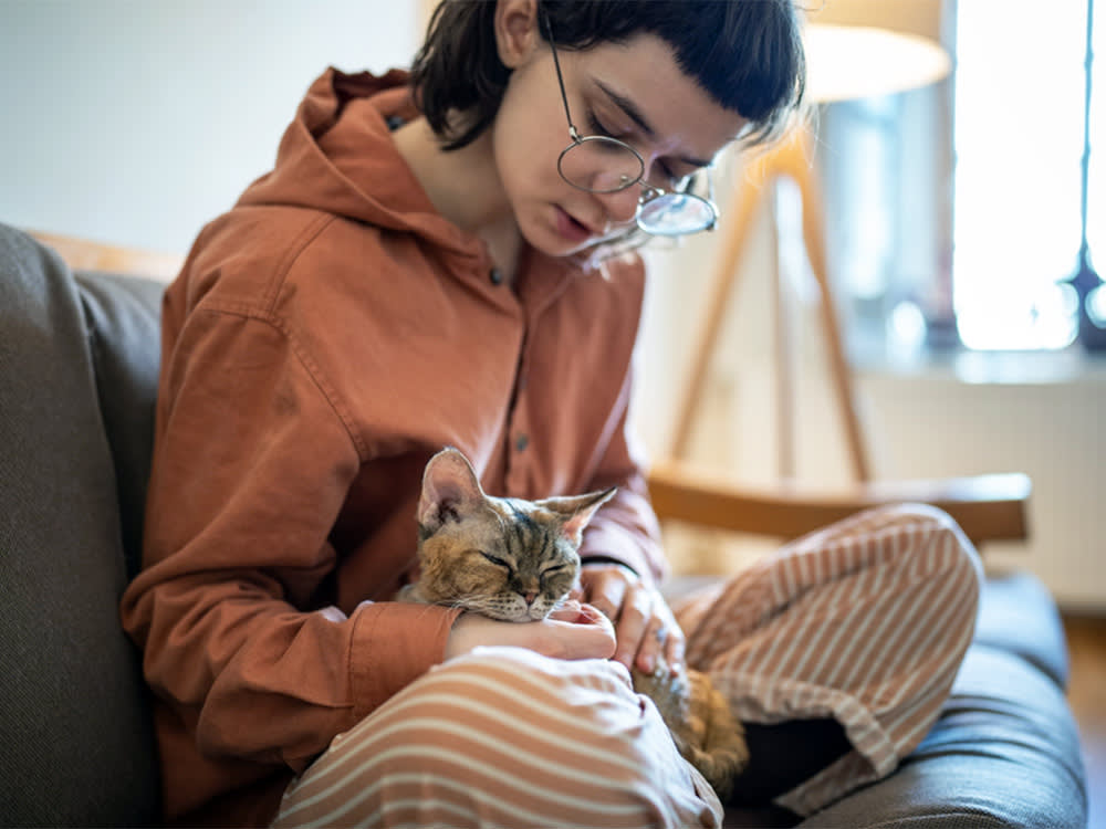 Girl stroking petting old Devon Rex cat from animal shelter sitting on couch at home. 