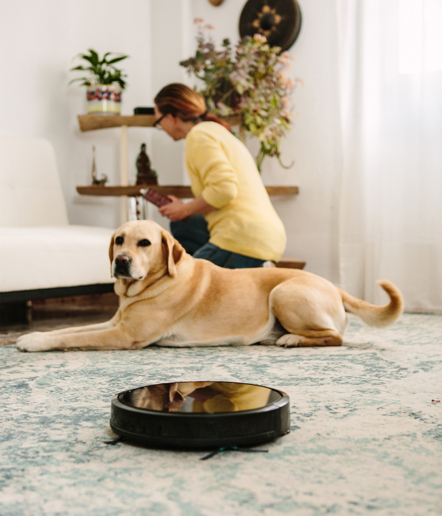 A woman in her forties cleaning shelving in a modern living room, while a robot vacuum cleans a rug in front of her. Pet dogs are watching.