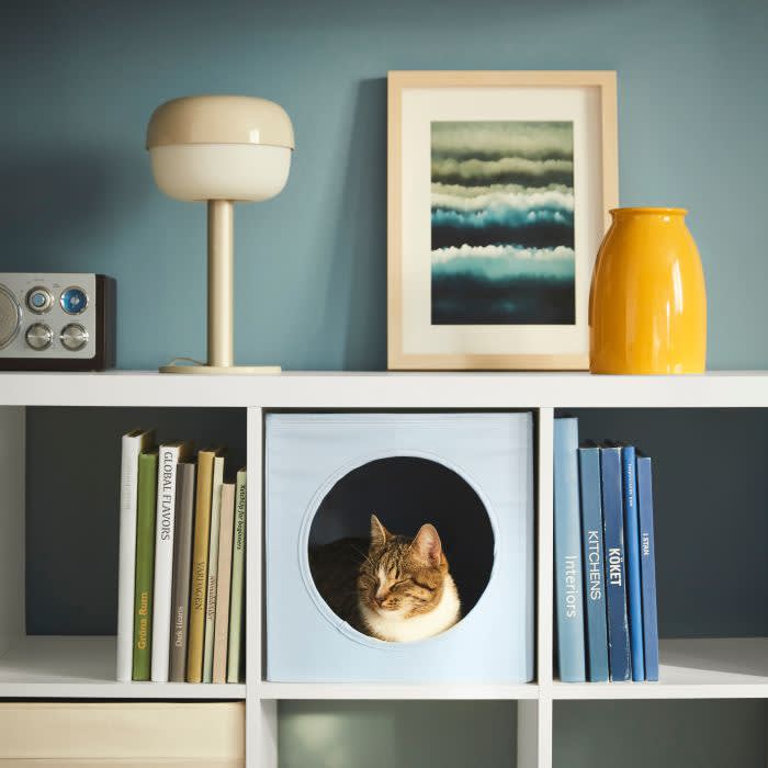 A cat lying in blue cubby hole housed within a shelving unit. 