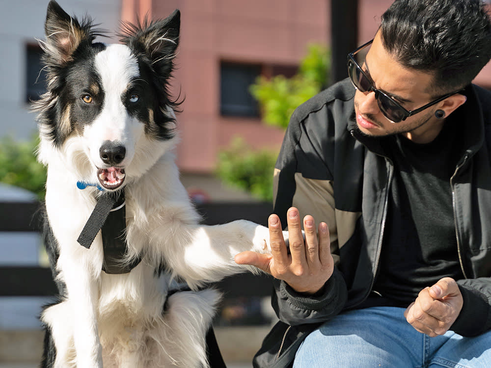 Man looking at his dog's paw outside.