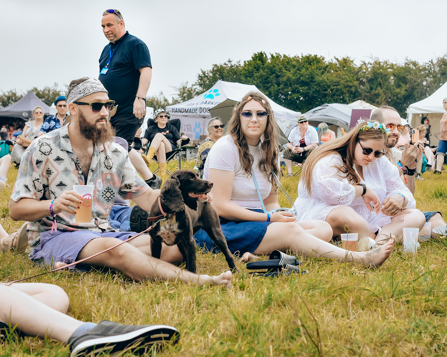 humans and dogs at a festival 