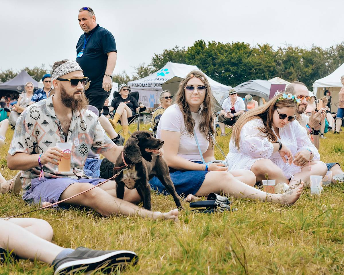 humans and dogs at a festival