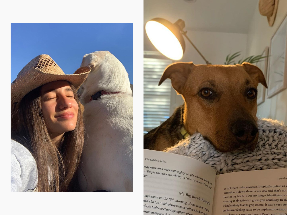 danielle and her dog