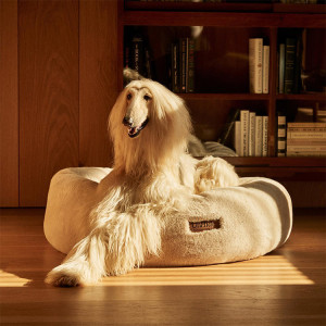Long haired dog sitting in dog bed