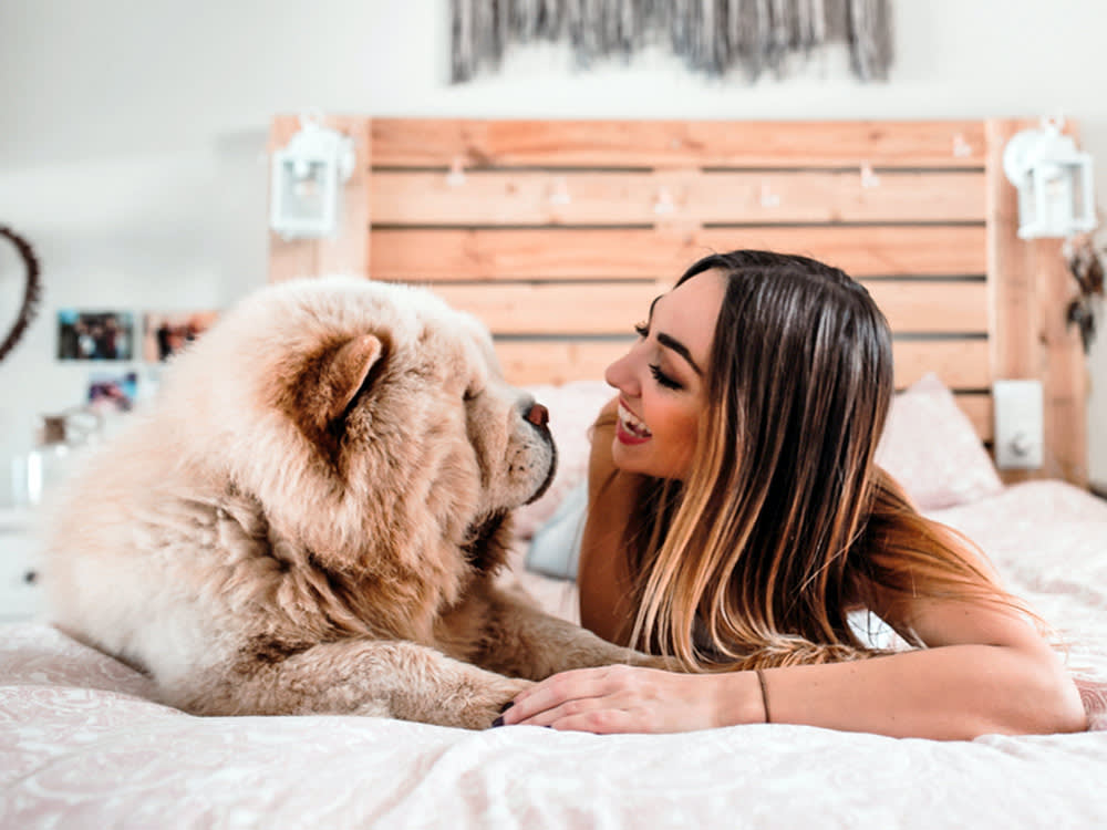 Woman laying next to her Chow Chow dog in bed at home.