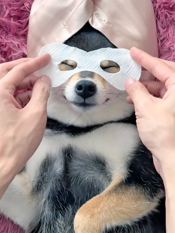 Manyu the cute dog from China having a spa day.