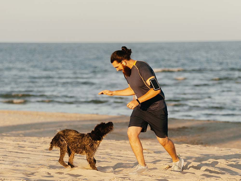 Bearded man on a run encounters a dog on the beach