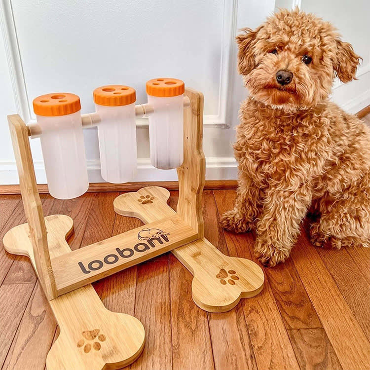 5 DIY Dog Puzzles: Homemade Food Puzzles Your Dog Will Love - Ollie Blog