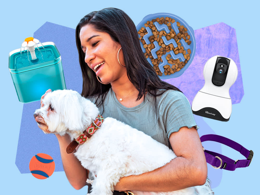 a person surrounded by amazon pet deals day products