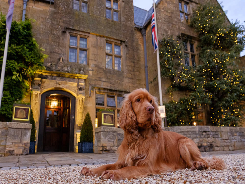 A tan Spaniel lies on a gravel driveway in front of a historic looking hotel